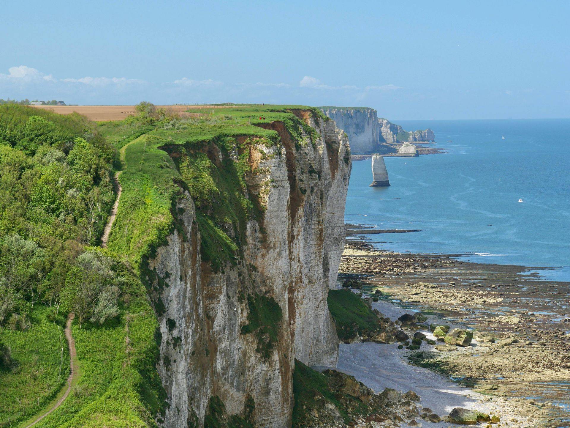 Falaises de la côte d'Albâtre, Normandie